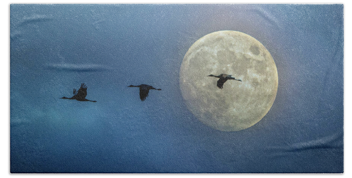 Sky Hand Towel featuring the photograph Sandhill Cranes with Full Moon by Patti Deters
