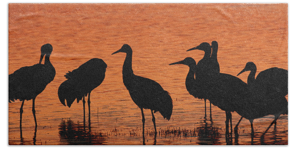 Usa Bath Towel featuring the photograph Sandhills In Their Golden Hours by Jennifer Robin