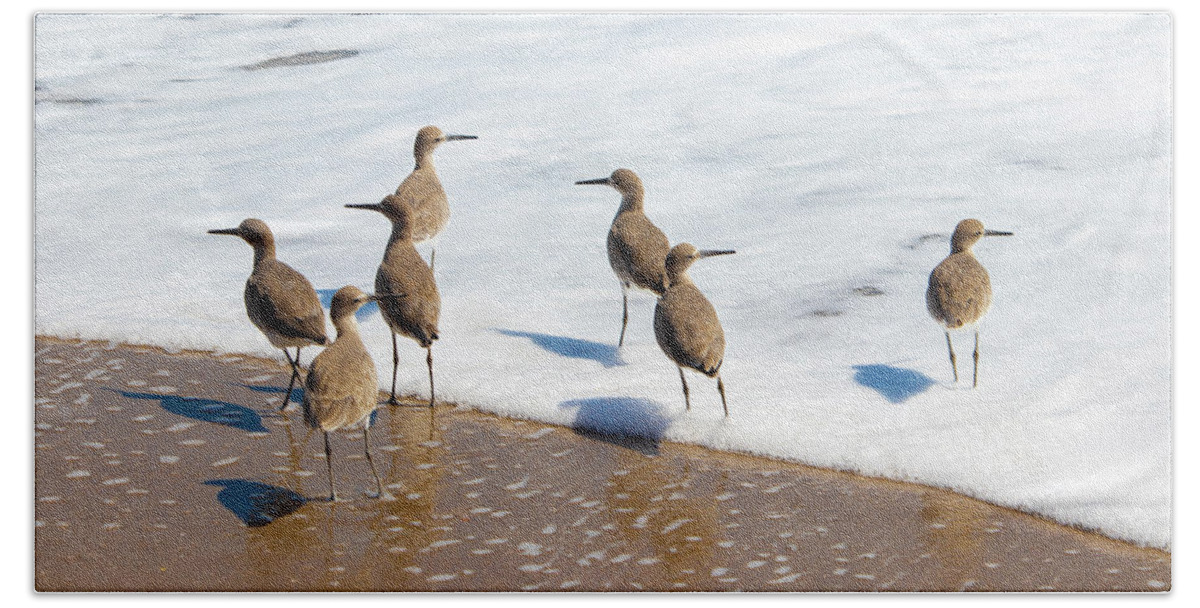 Bird Bath Towel featuring the photograph Sandpipers Ocean Stakeout by Blair Damson