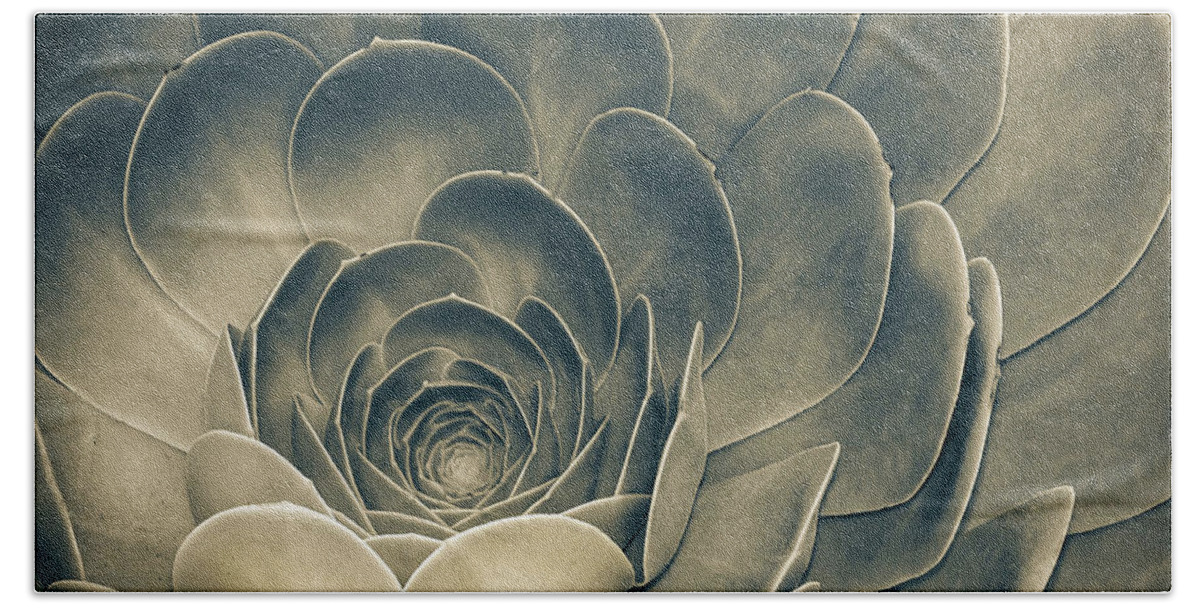 Environmental Hand Towel featuring the photograph Santa Barbara Succulent #1 by Jennifer Wright