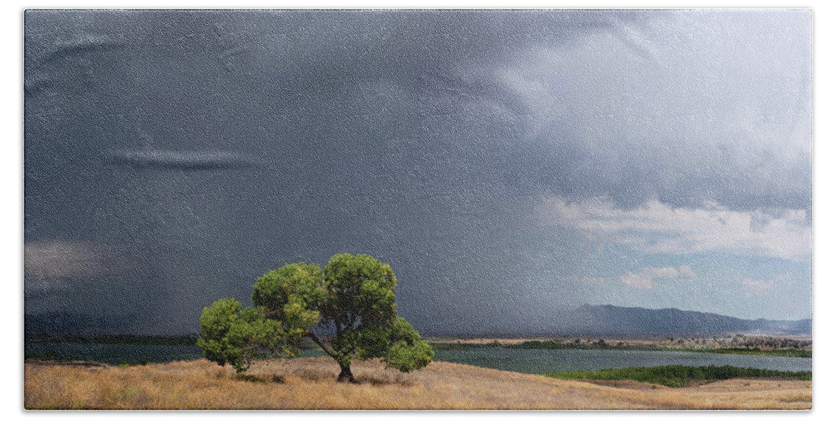 San Diego Hand Towel featuring the photograph Santa Ysabel Tree and Lightning by William Dunigan