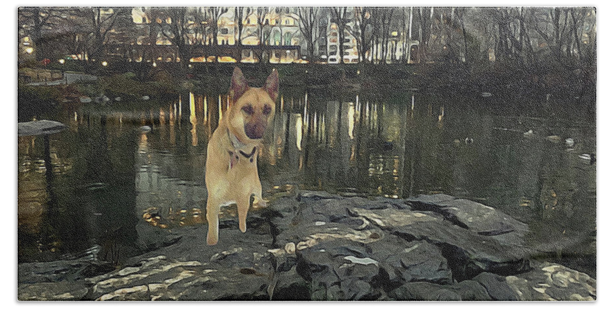 ‘german Shepherd’ Hand Towel featuring the photograph Sasha In Central Park by Carol Whaley Addassi