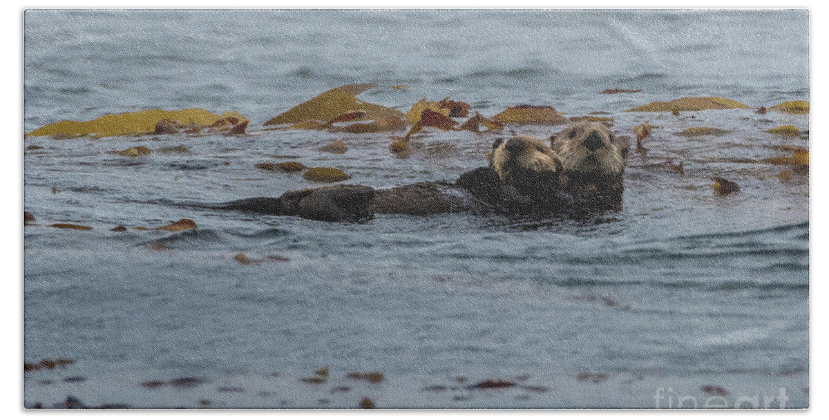 Animal Bath Towel featuring the photograph Sea Otter Mother and Pup in Kelp by Nancy Gleason