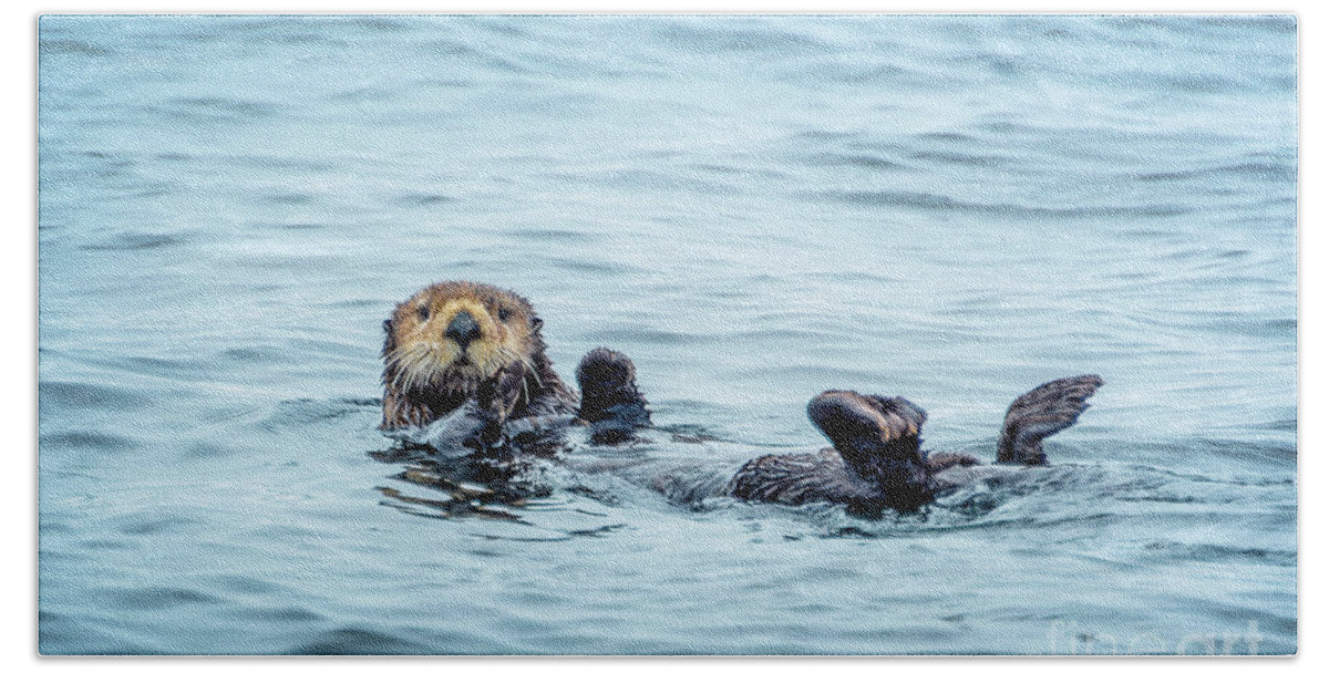 Otter Bath Towel featuring the photograph Sea otter naptime by Delphimages Photo Creations