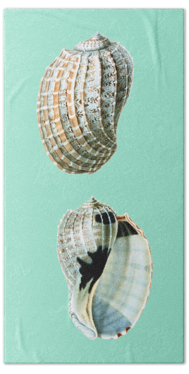 Seashell Hand Towel featuring the mixed media Sea Shells Art by Madame Memento