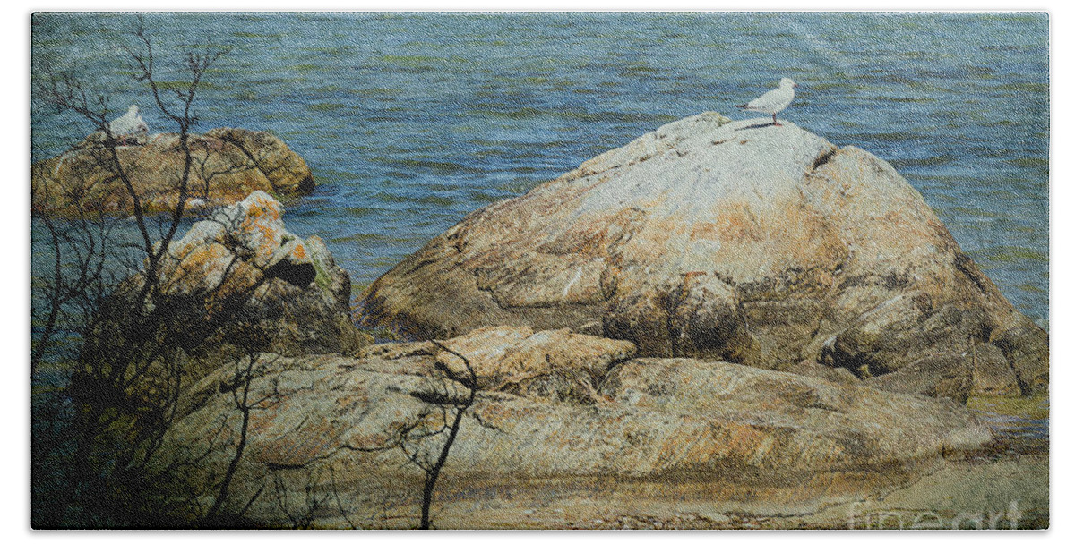 Rocks Hand Towel featuring the photograph Seagull on a Rock by Elaine Teague