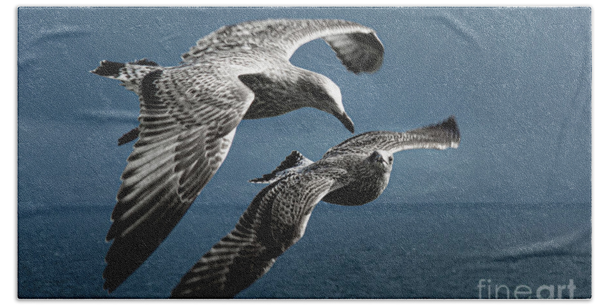 Bird Bath Towel featuring the photograph Seagulls Flying Formation by Andreas Berthold