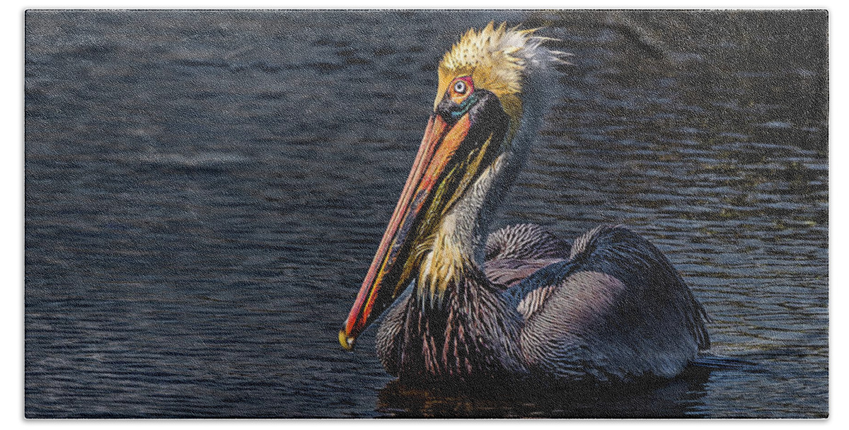 Pelican Hand Towel featuring the photograph Searching For Food by Joe Granita