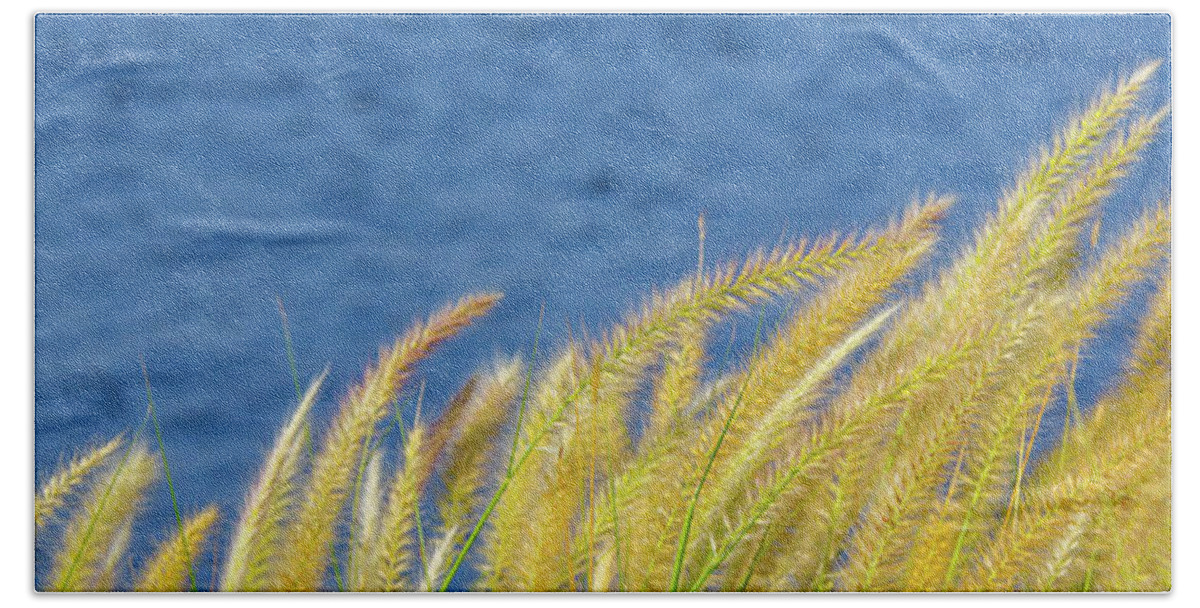 Blue Bath Towel featuring the photograph Seaside Grasses by SR Green