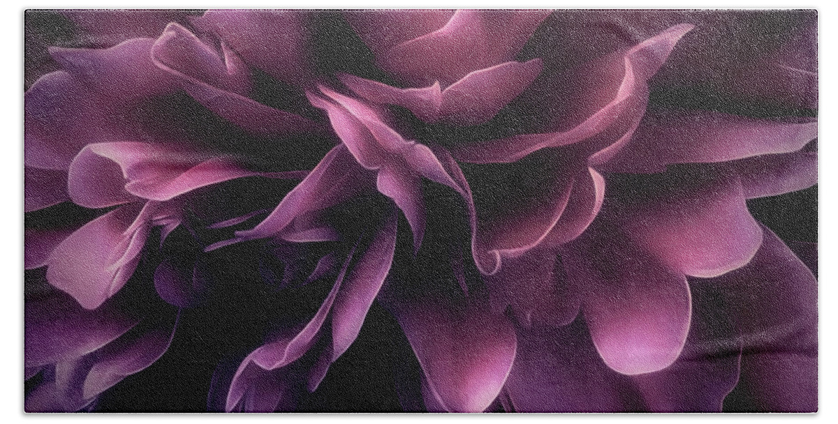 Flower Hand Towel featuring the photograph Secrets by Darlene Kwiatkowski