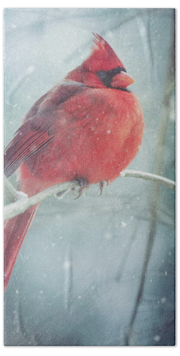 Snow Bath Towel featuring the photograph Seeing Red by Carrie Ann Grippo-Pike