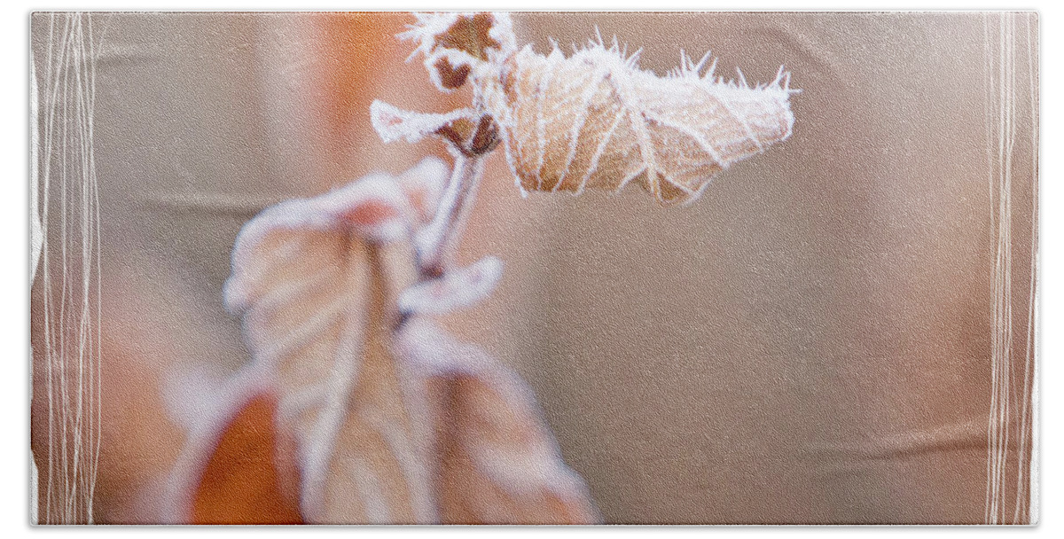 Frost Bath Towel featuring the photograph Sepia Hoarfrost I by Patti Deters