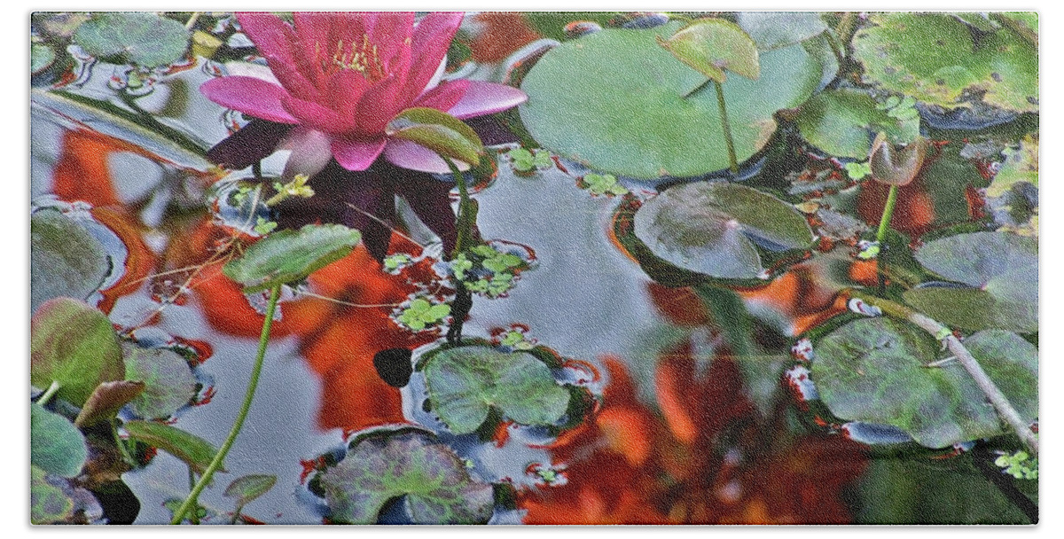 Waterlily: Water Garden Bath Towel featuring the photograph September Rose Water Lily 1 by Janis Senungetuk