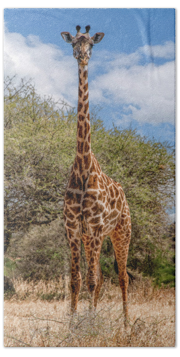 Tarangire National Park Bath Towel featuring the photograph Serengeti Giraffe, A Gentle Giant by Marcy Wielfaert