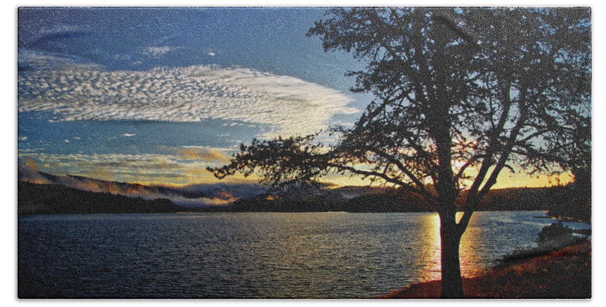 Sunrise Hand Towel featuring the photograph Shadow Tree by Loyd Towe Photography