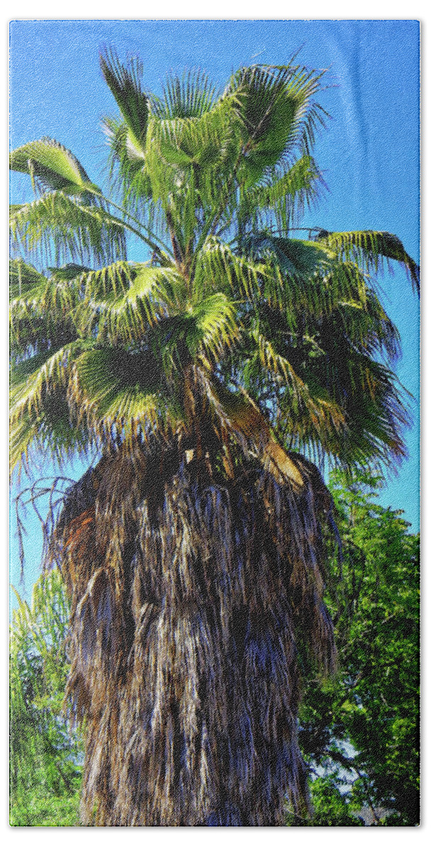 Tree Bath Towel featuring the photograph Shaggy Palm Tree by Andrew Lawrence