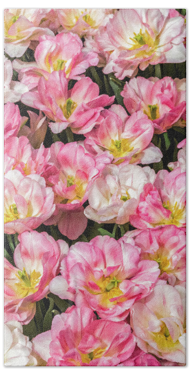 Tulip Bath Towel featuring the photograph Show Stopper Tulips by Elvira Peretsman