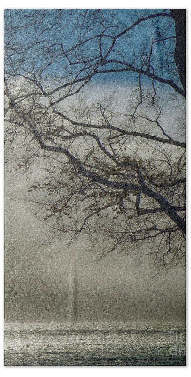 Tree Hand Towel featuring the photograph Silhouetted Tree by Kimberly Furey