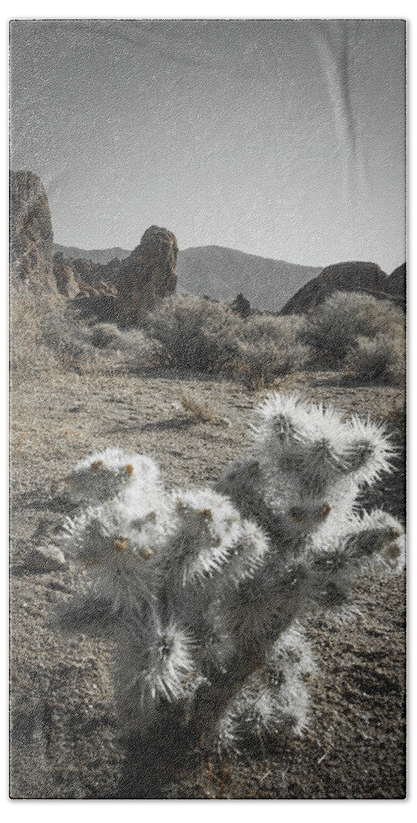 Alabama Hills Bath Towel featuring the photograph Silver Succulent by Ryan Weddle