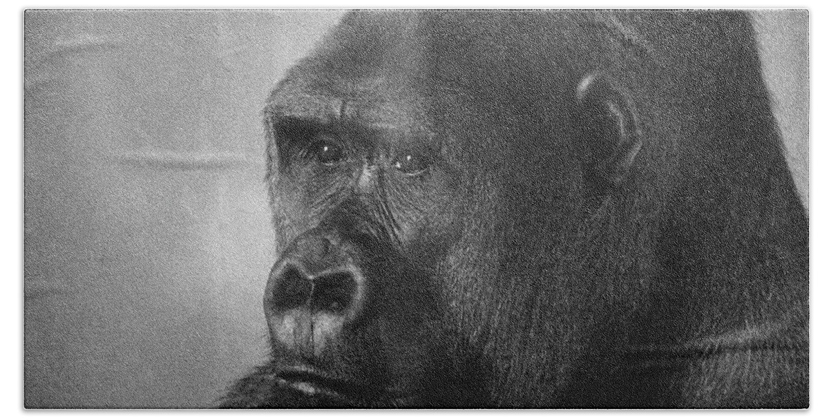 Ape Bath Towel featuring the photograph Simiae by Jim Signorelli