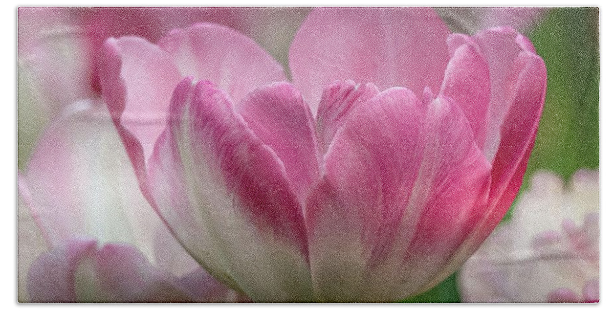 Tulip Hand Towel featuring the photograph Simple Beauty Tulips by Susan Rydberg