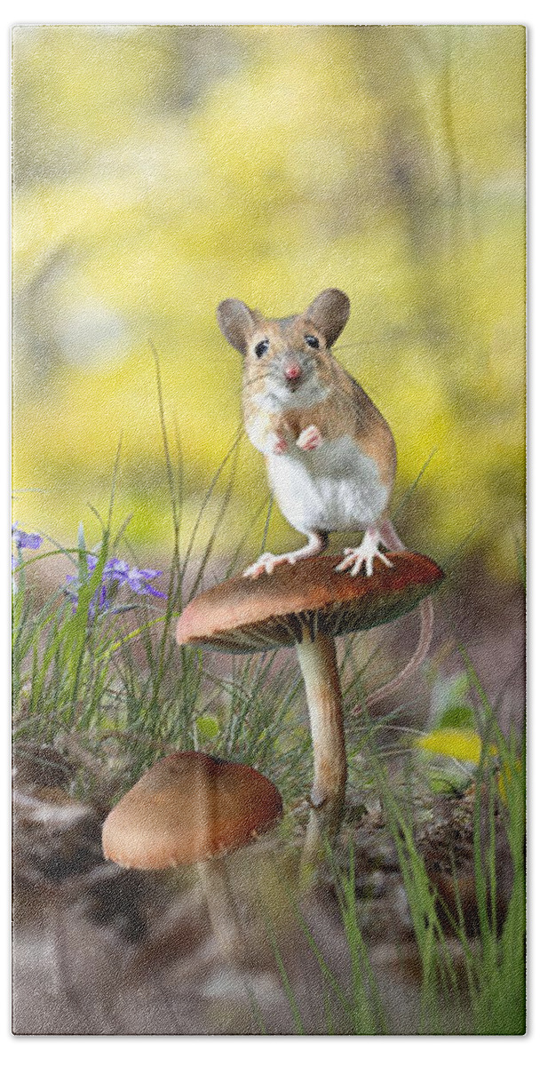 Field Mouse Hand Towel featuring the mixed media Sitting Pretty by Morag Bates