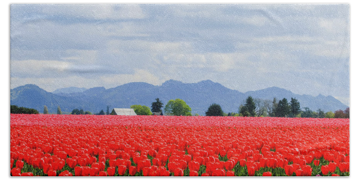 Western Washington State Bath Towel featuring the photograph Skagit Valley Tulip Farm by E Faithe Lester