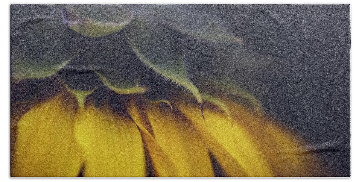 Sunflower Hand Towel featuring the photograph Sleep Now - Sunflower by Ada Weyland