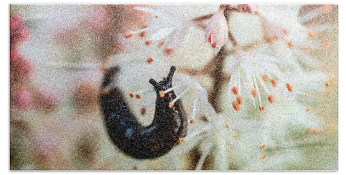 Orange Flower Bath Towel featuring the photograph Slug In The Garden - Macro Photography by Amelia Pearn