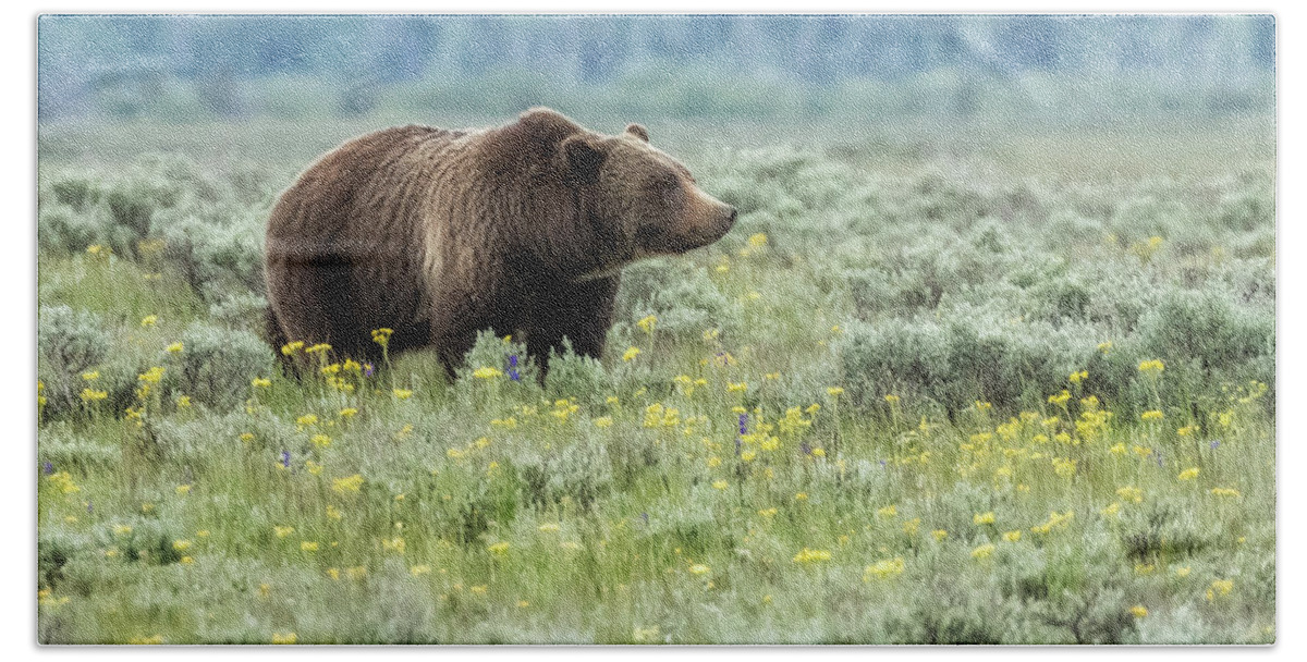 Grizzly Hand Towel featuring the photograph Smiling Grizzly #399 by Belinda Greb