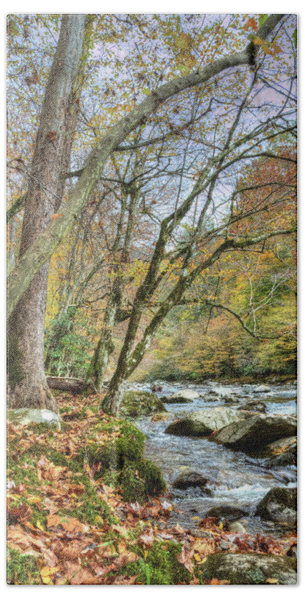 Smoky Mountains Bath Towel featuring the photograph Smoky Mountain Stream by Randall Dill