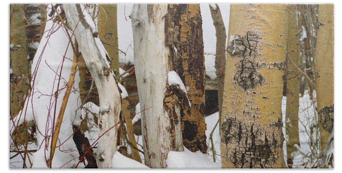 Snow Hand Towel featuring the photograph Snow Covered Aspen Bark, Mammoth Lakes, Californa by Bonnie Colgan