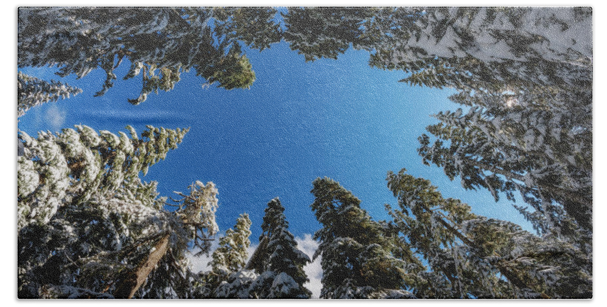Tree Bath Towel featuring the photograph Snow Covered Trees 6 by Pelo Blanco Photo