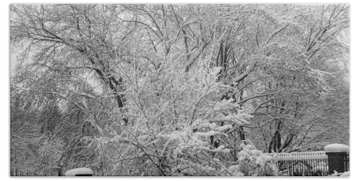 Trees Bath Towel featuring the photograph Snow Covered Trees by Stephanie Moore