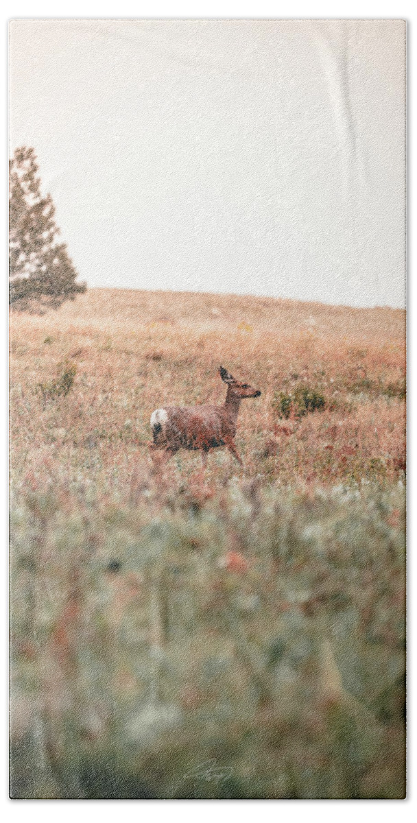  Bath Towel featuring the photograph Snow Doe by William Boggs