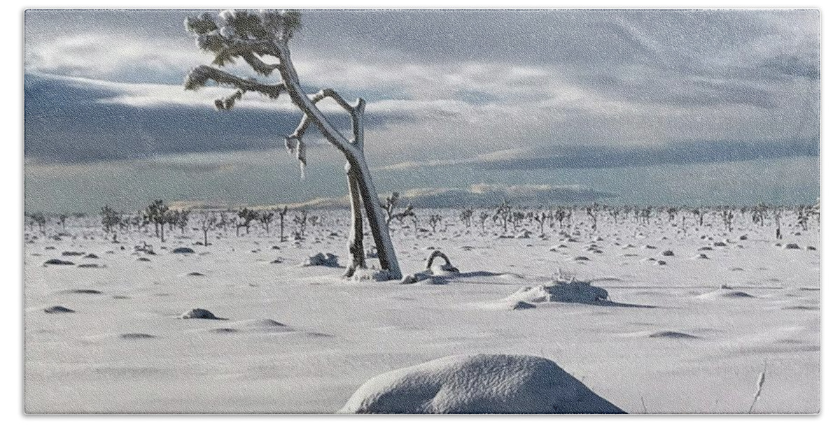 Joshua Tree Hand Towel featuring the photograph Snow in Joshua Tree by Perry Hoffman