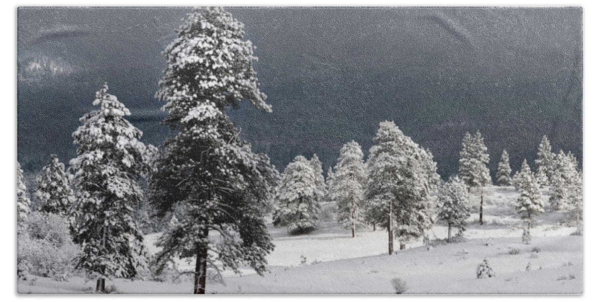 Pagosa Peak Storm Bath Towel featuring the photograph Snow on Ponderosa Pines by Mark Langford