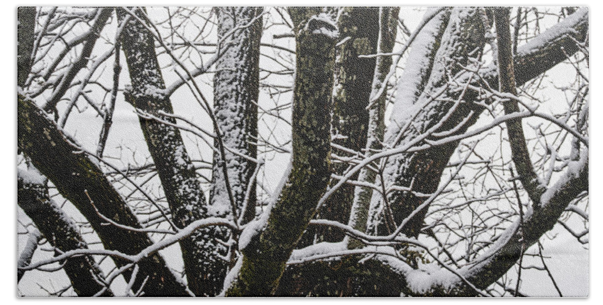 Season Bath Towel featuring the photograph Snow on Trees by Rick Nelson