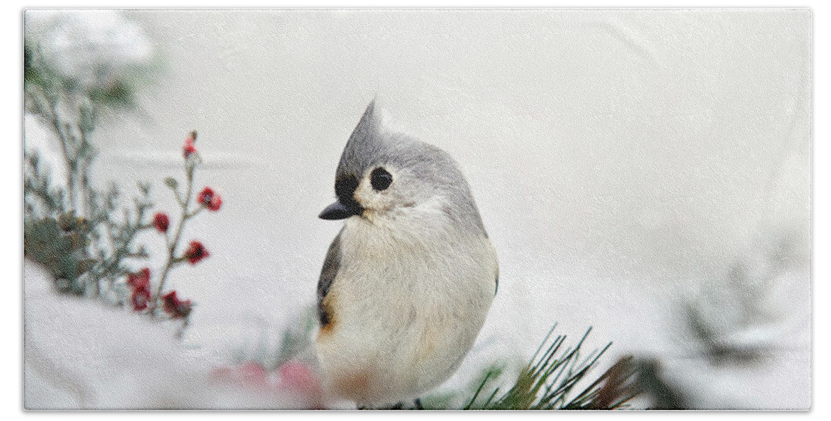 Birds Hand Towel featuring the photograph Snow White Tufted Titmouse by Christina Rollo
