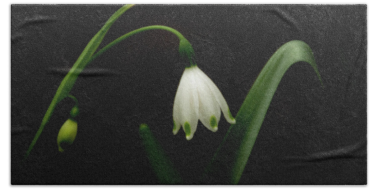 White Bath Towel featuring the photograph Snowdrop by Cindy Robinson