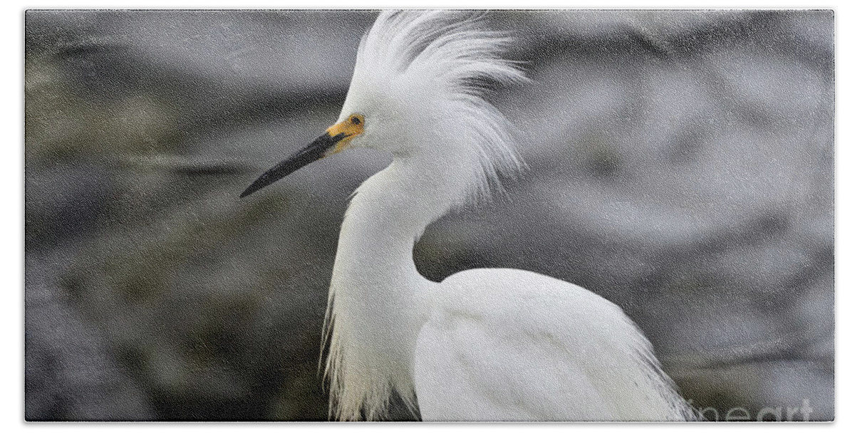 Snowy Egret Hand Towel featuring the photograph Snowy Egret Waiting for a Flight by Amazing Action Photo Video
