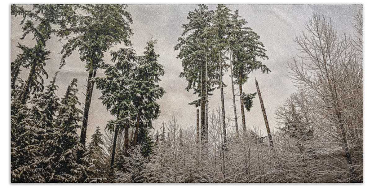 Forest Bath Towel featuring the photograph Snowy Forest by Anamar Pictures