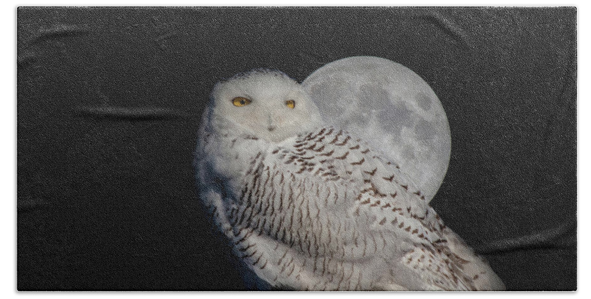 Animals Hand Towel featuring the photograph Snowy Owl on the Moon by Jeff Folger