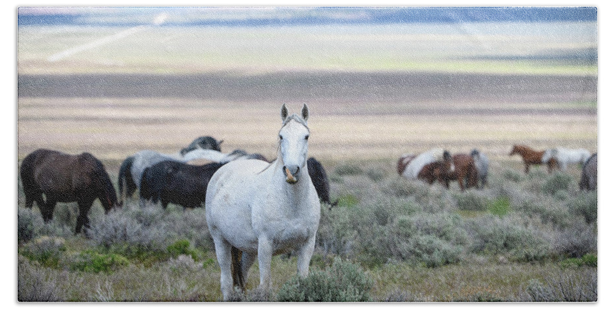 Horse Bath Towel featuring the photograph Snowy the Wild Mare by Fon Denton