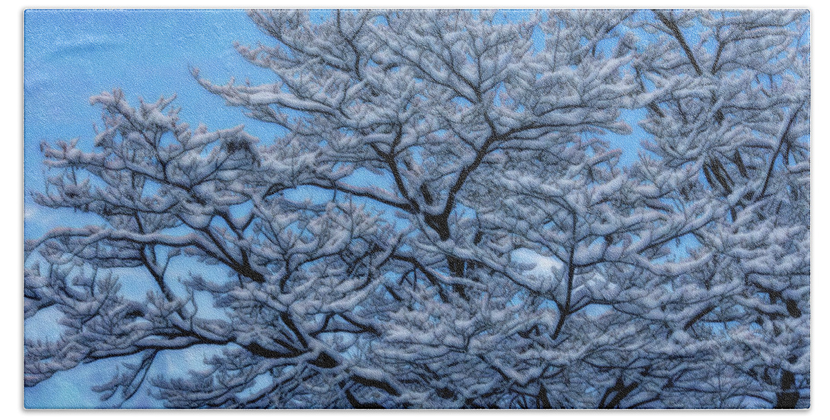 Snow Hand Towel featuring the photograph Snowy Tree by Crystal Wightman