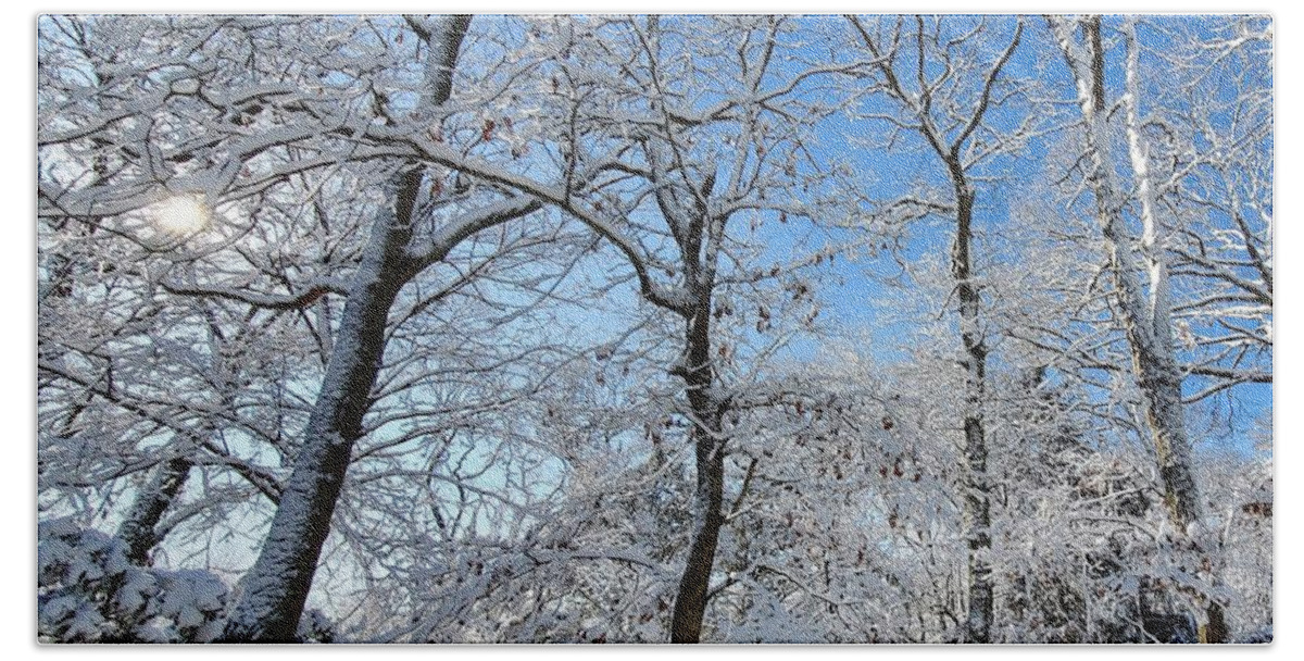Snow Covered Hand Towel featuring the photograph Snowy Trees and Blue Sky by Stacie Siemsen