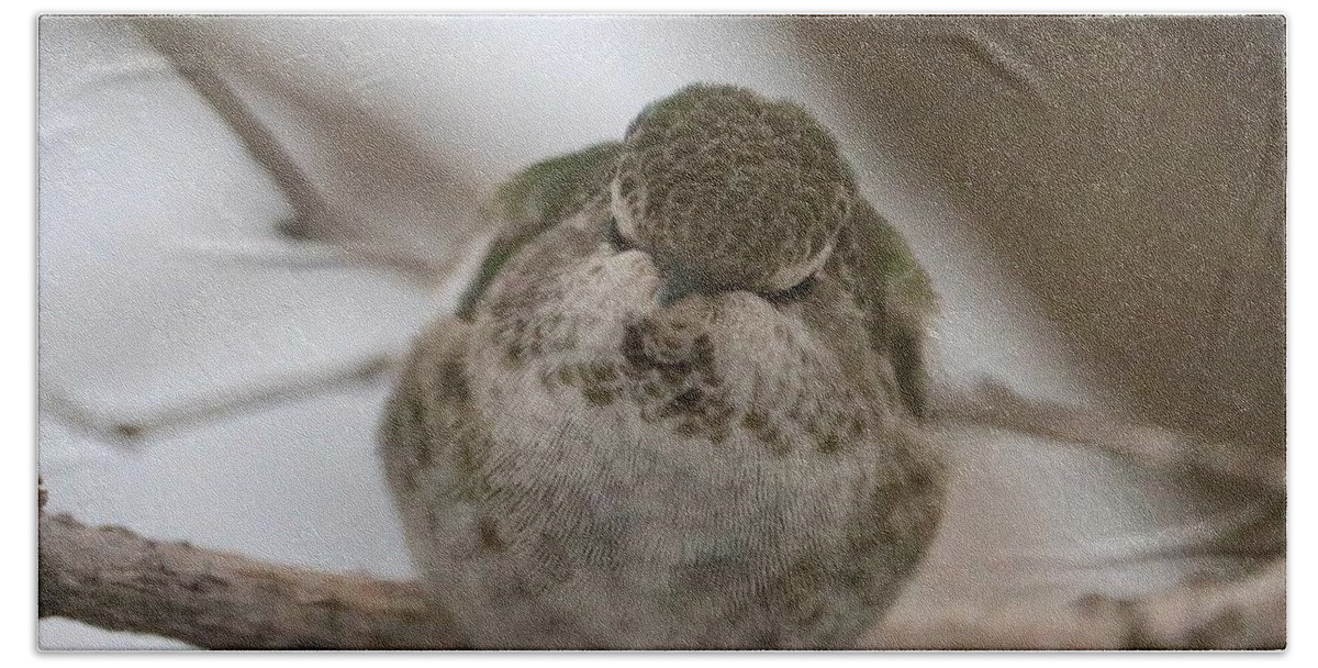 Hummingbird Bath Towel featuring the photograph Snuggly Sleeping Hummingbird by Carol Groenen