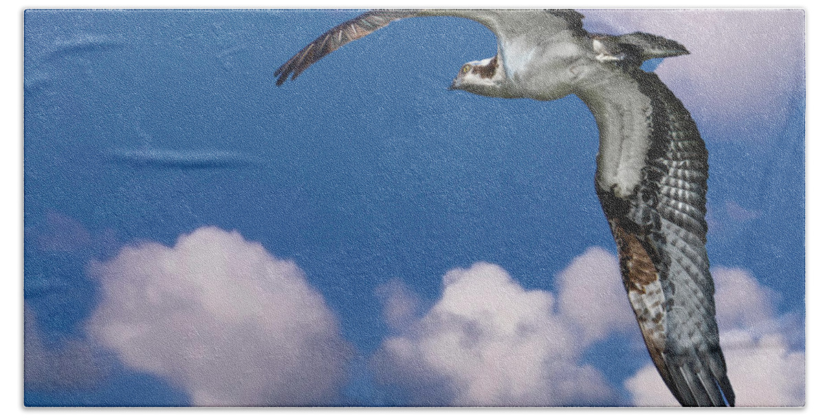 Backyard Bath Towel featuring the photograph Soaring Osprey by Larry Marshall