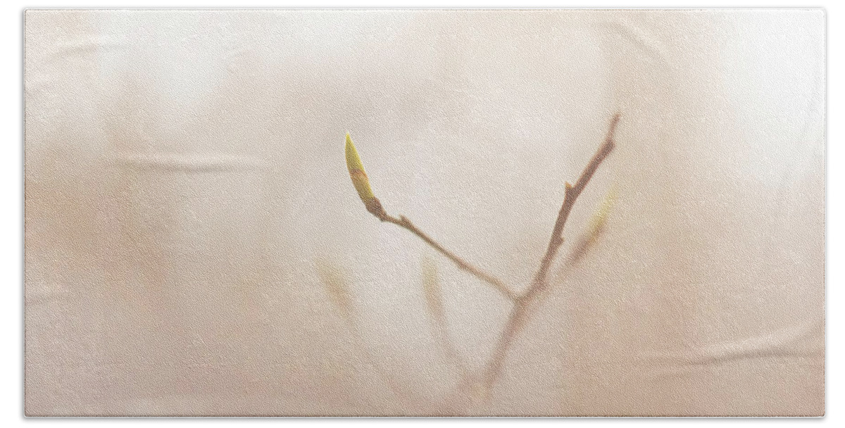 Gentle Hand Towel featuring the photograph Soft and fragile by Maria Dimitrova