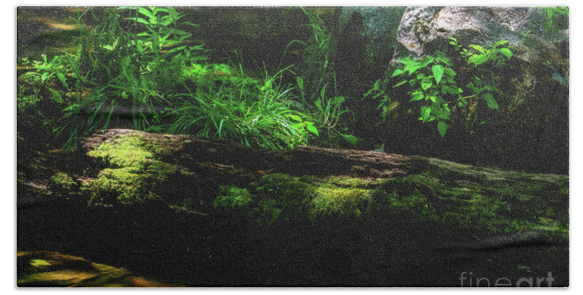 Log Bath Towel featuring the photograph Soft Light on the Forest Floor by Shelia Hunt